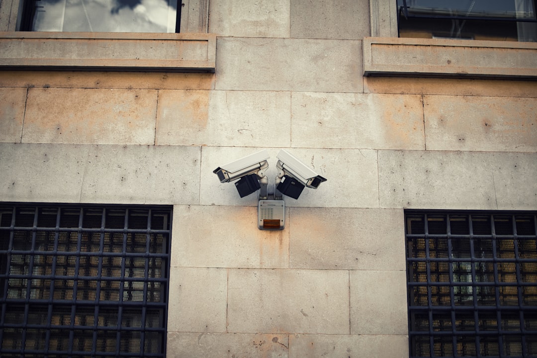Systèmes de Sécurité Électronique